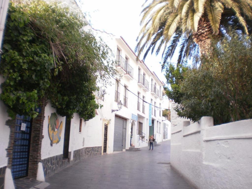Pepín 2*